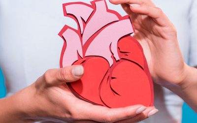 Sociedad de Cardiología recomienda cuidar el corazón todo el año